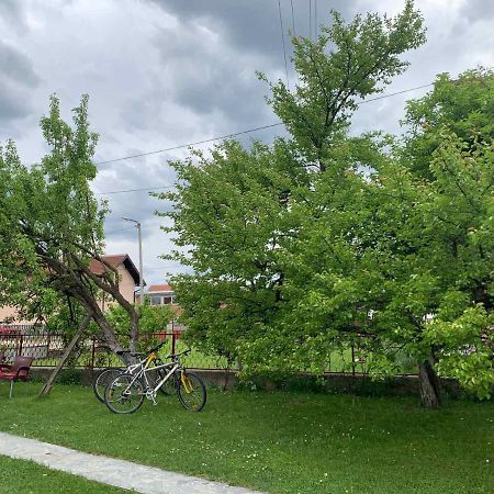 Idila Appartement Bajina Basta Buitenkant foto